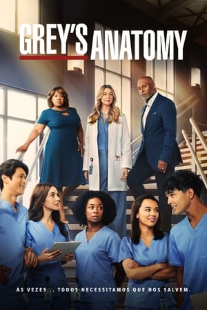 Poster Anatomia de Grey Temporada 16 2019