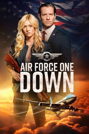 Poster Air Force One Down 2024