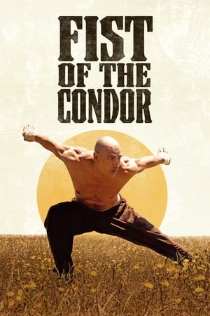 Image Fist of the Condor