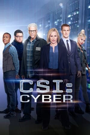 Poster CSI: Cyber 2015