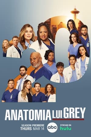 Poster Anatomia lui Grey Sezonul 10 2013