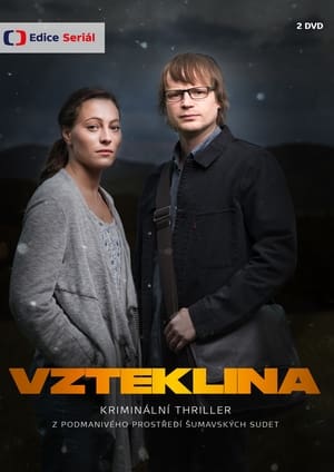 Poster Vzteklina 2018