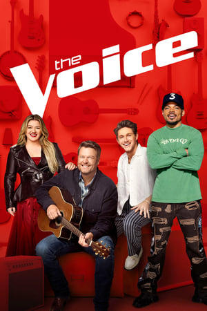 Poster The Voice: A voz da América 2011