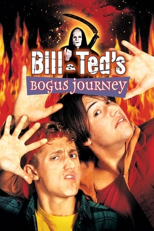 Poster Neskutečná cesta Billa a Teda 1991