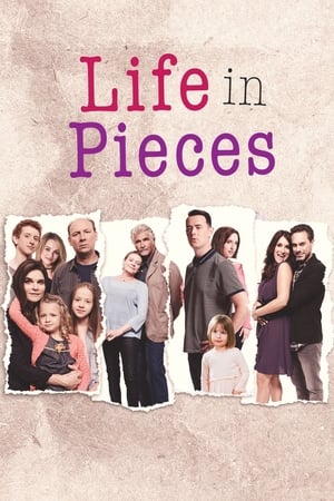 Poster Life in Pieces 2015
