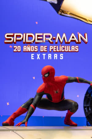 Image Spider-Man: 20 años de películas