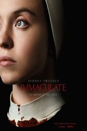Poster Immaculate 2024