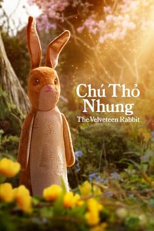 Image Chú Thỏ Nhung - The Velveteen Rabbit