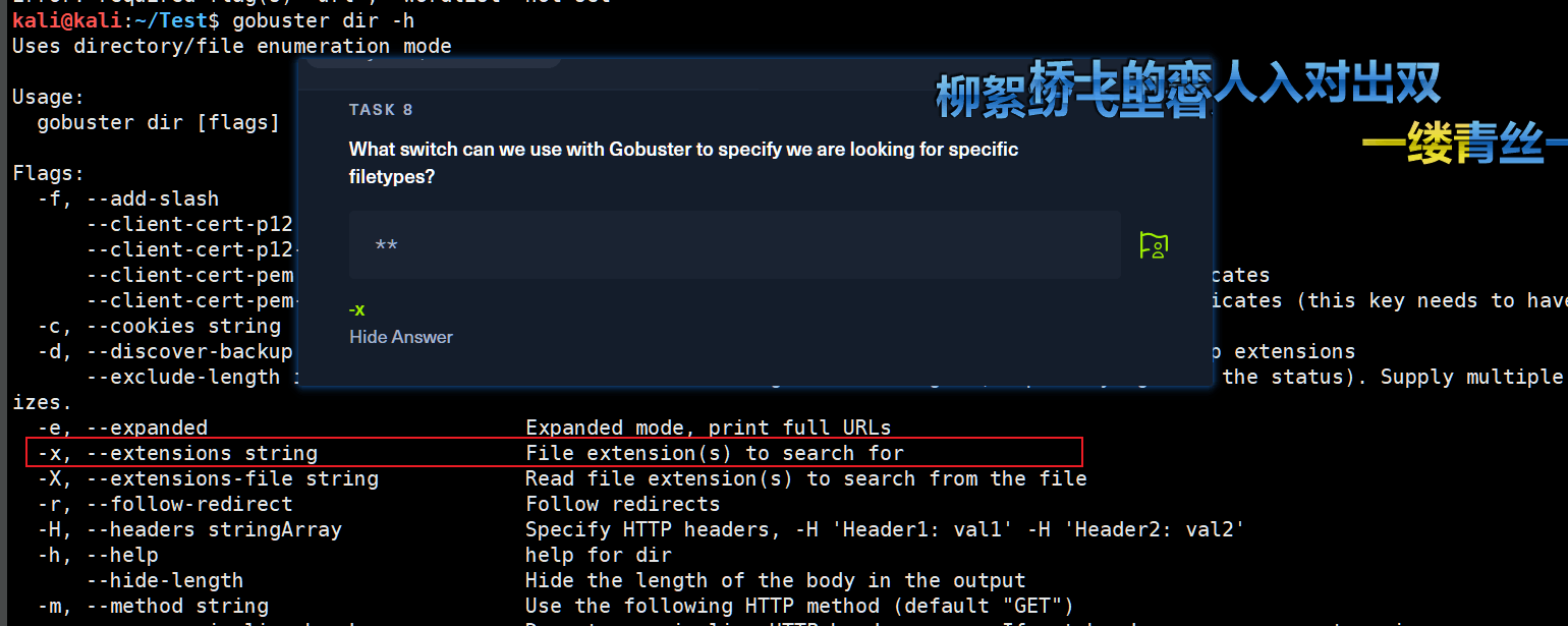 image-20230228155644831