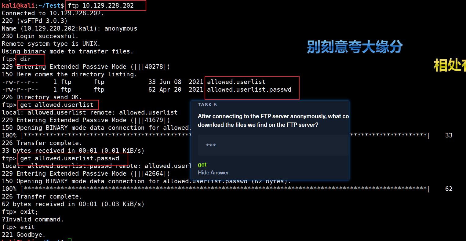 image-20230228152934049