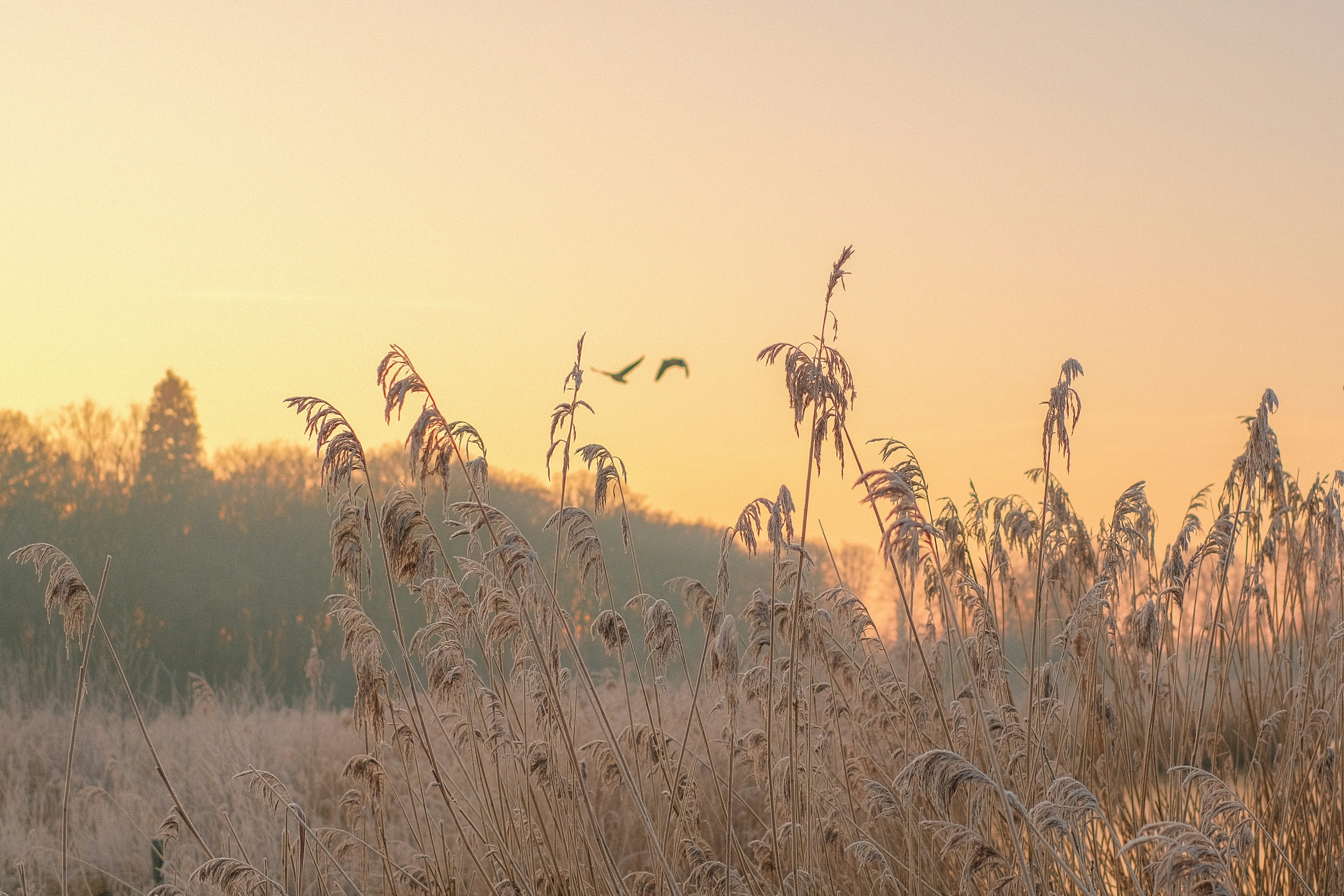 互联网产品分析笔记(二)