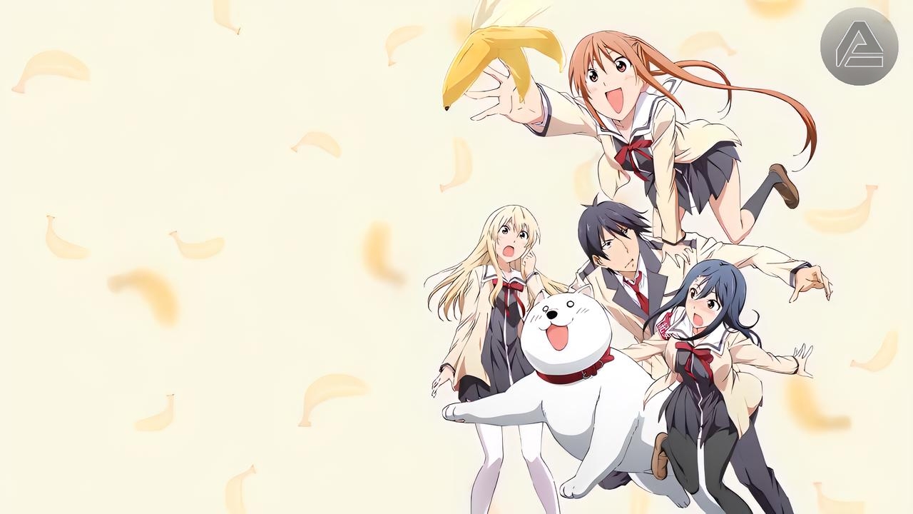 Aho Girl