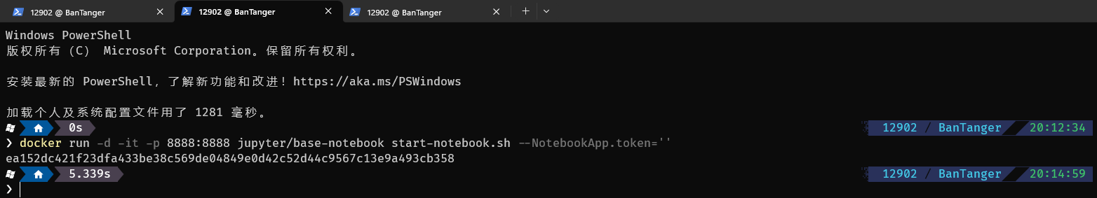 image-20230325211208257