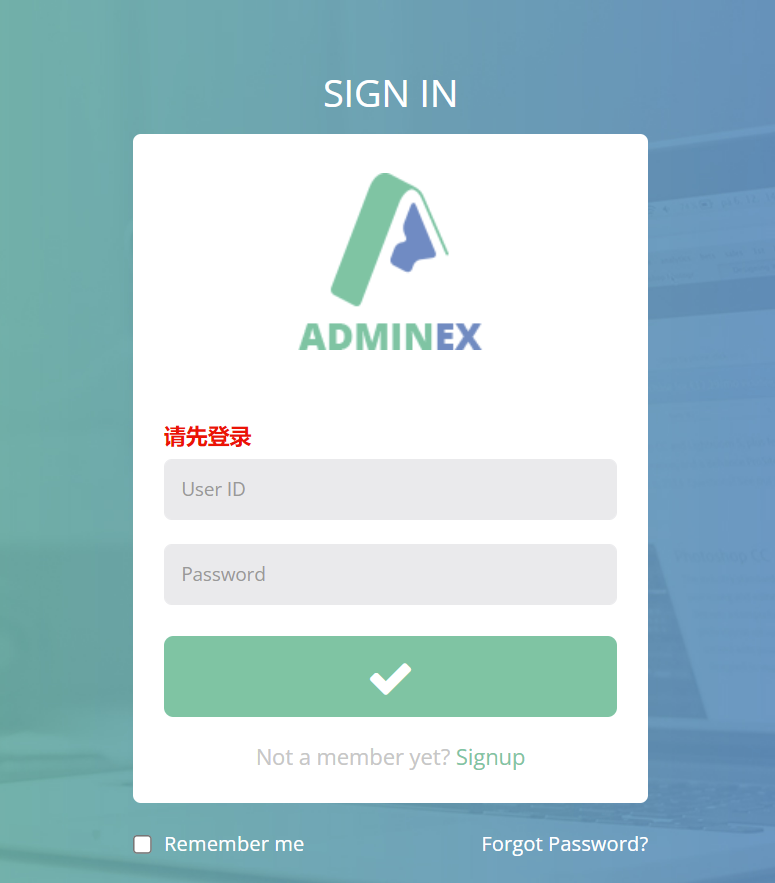 image-20220528171751765