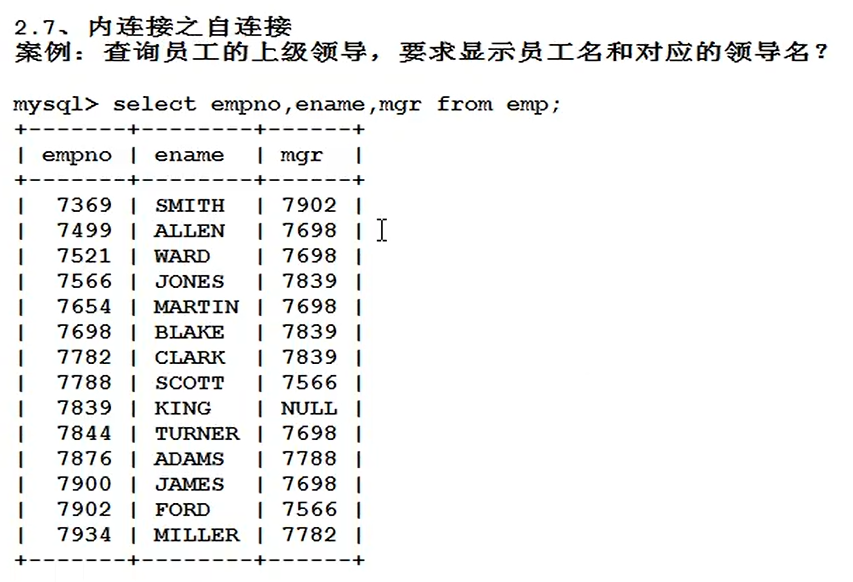 image-20220706191709575