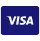 visa payment