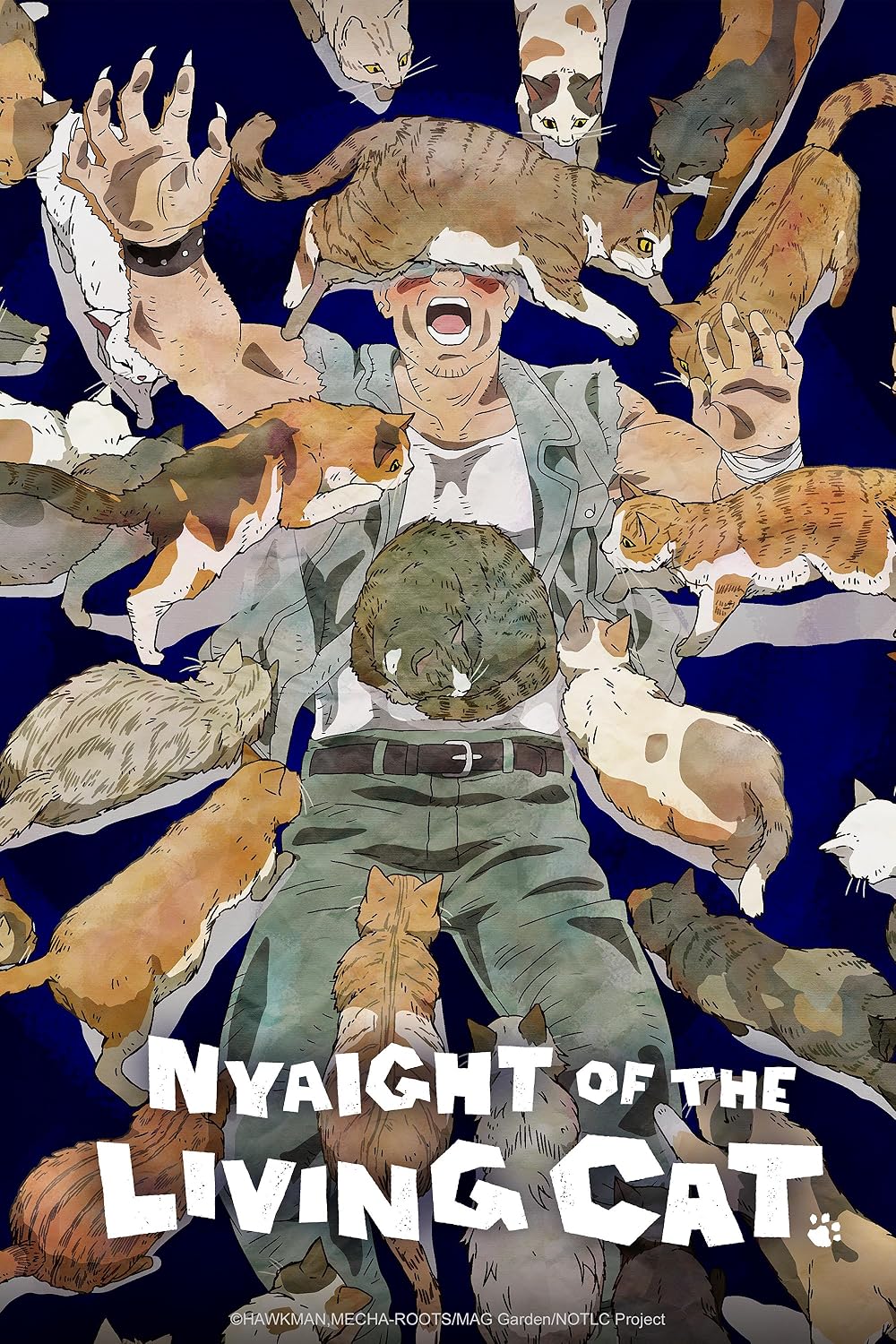 saison de Nyaight of the Living Cat
