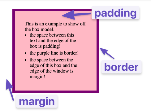 the box model