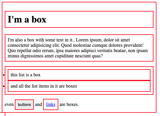 The Box Model  The Odin Project