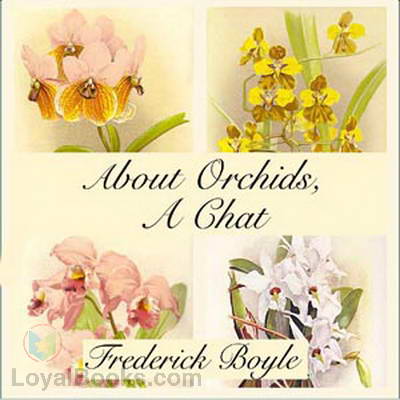 About Orchids, a Chat cover