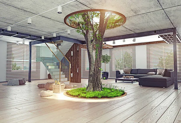 Image of indoor trees