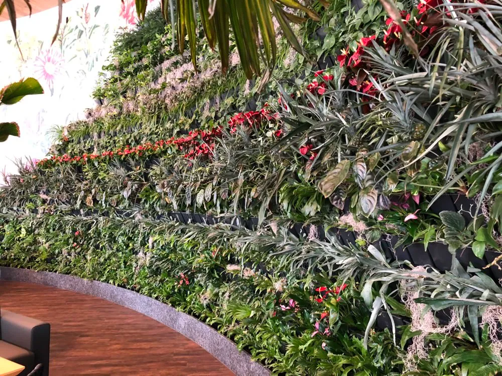 Real green wall