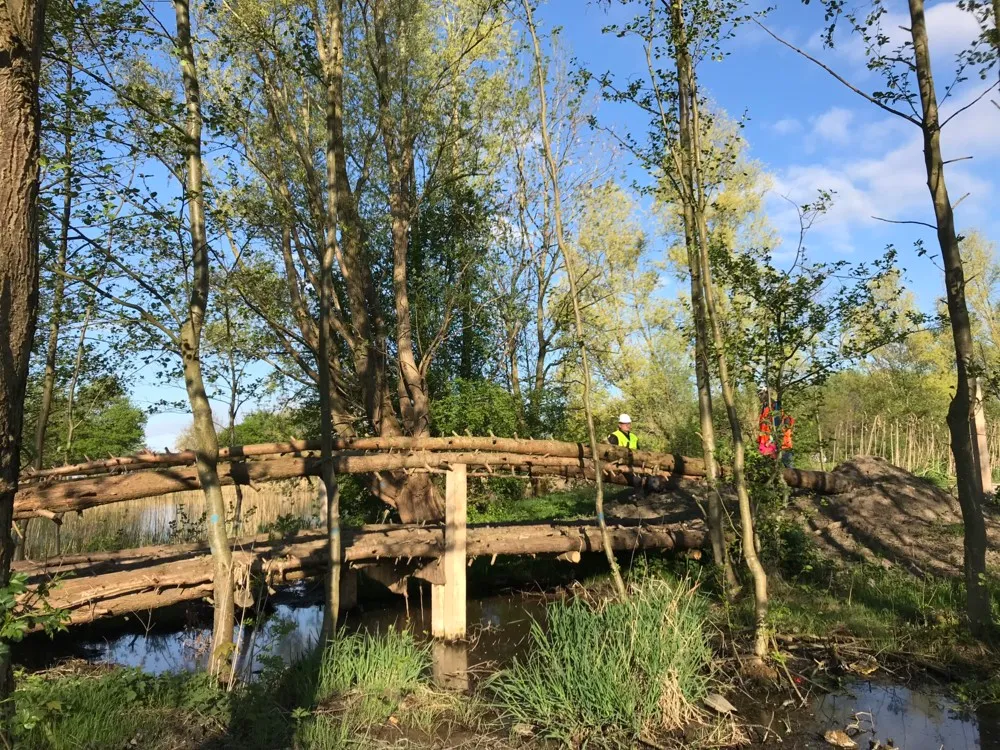 Living bridge