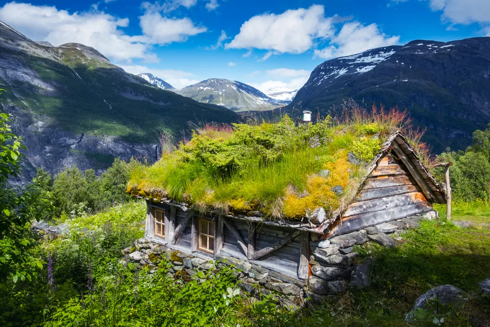 The grass roofed houses in norway