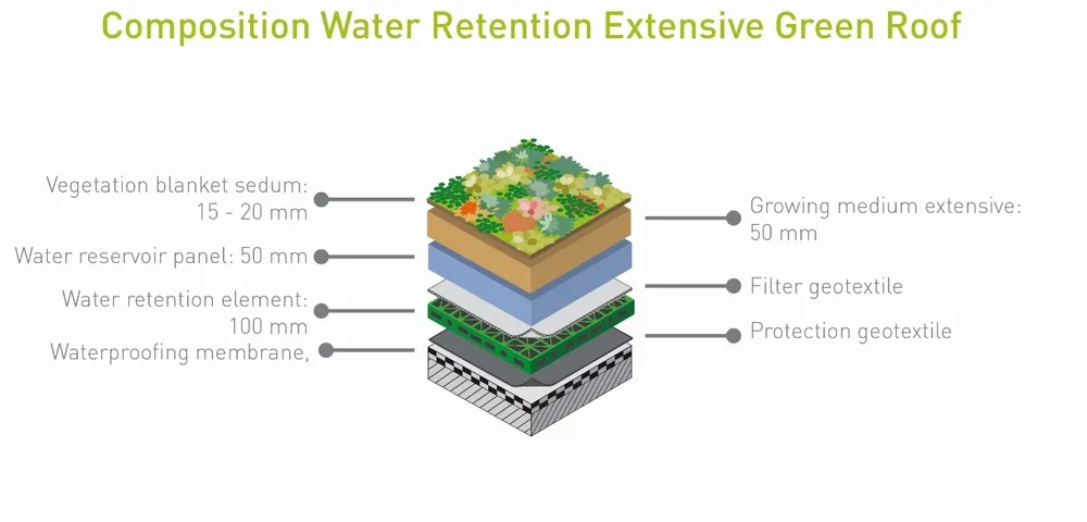 Water Retention Extensive Green Roof 2