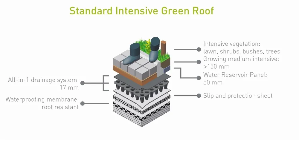 Water Retention Intensive Green Roof 2