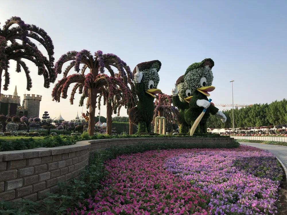 Dubai miracle garden aerial view 3