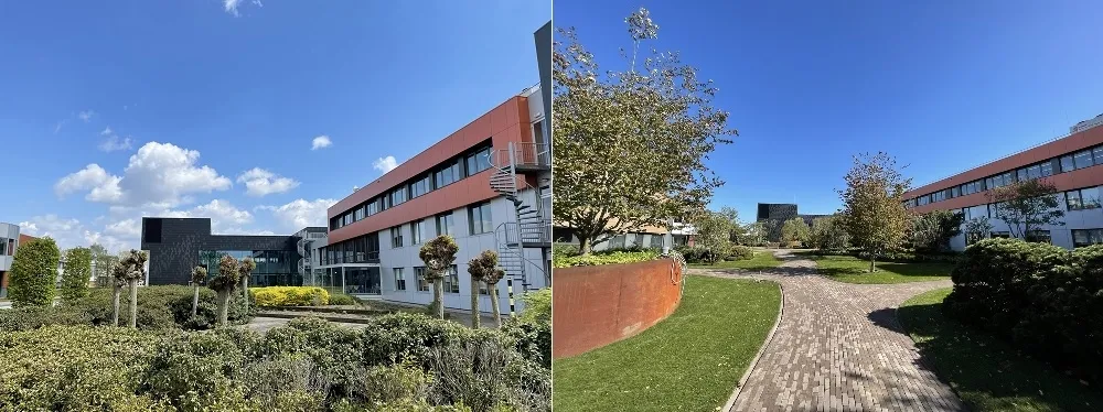 Before and after trespa campus