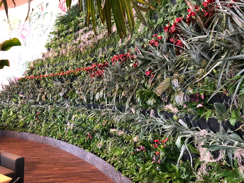 Vertical Greenwall Restaurant Humboldt 3