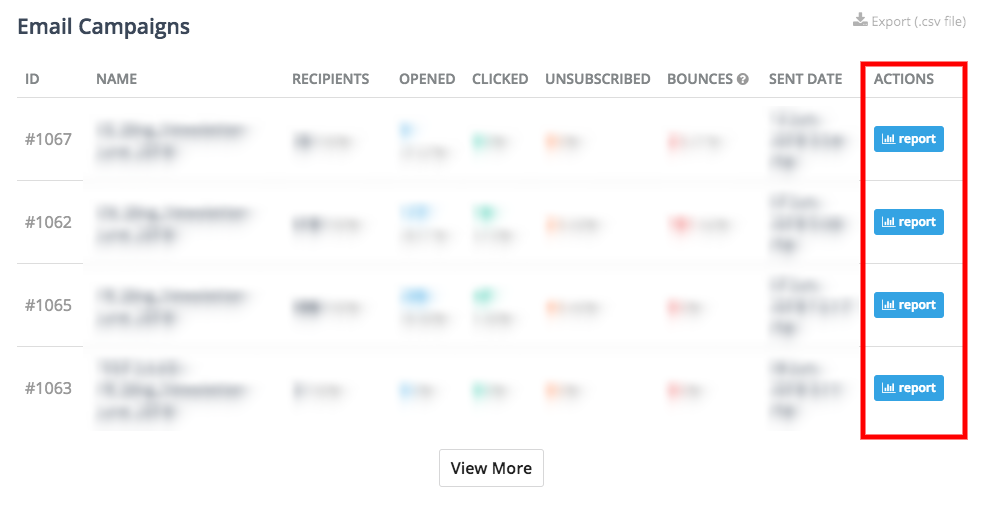 xem báo cáo chiến dịch bản tin trong WordPress