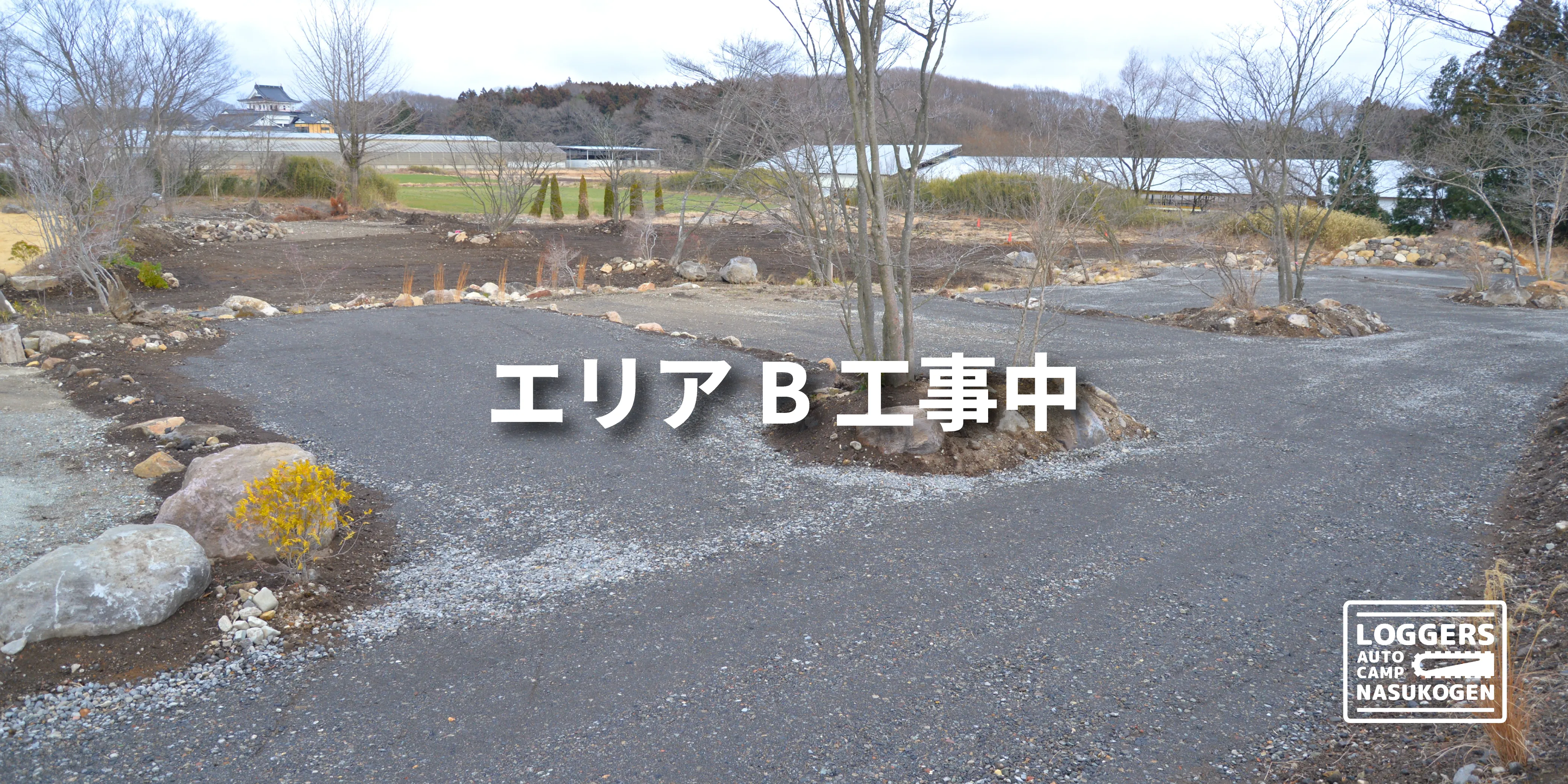 エリアB 開拓の様子1