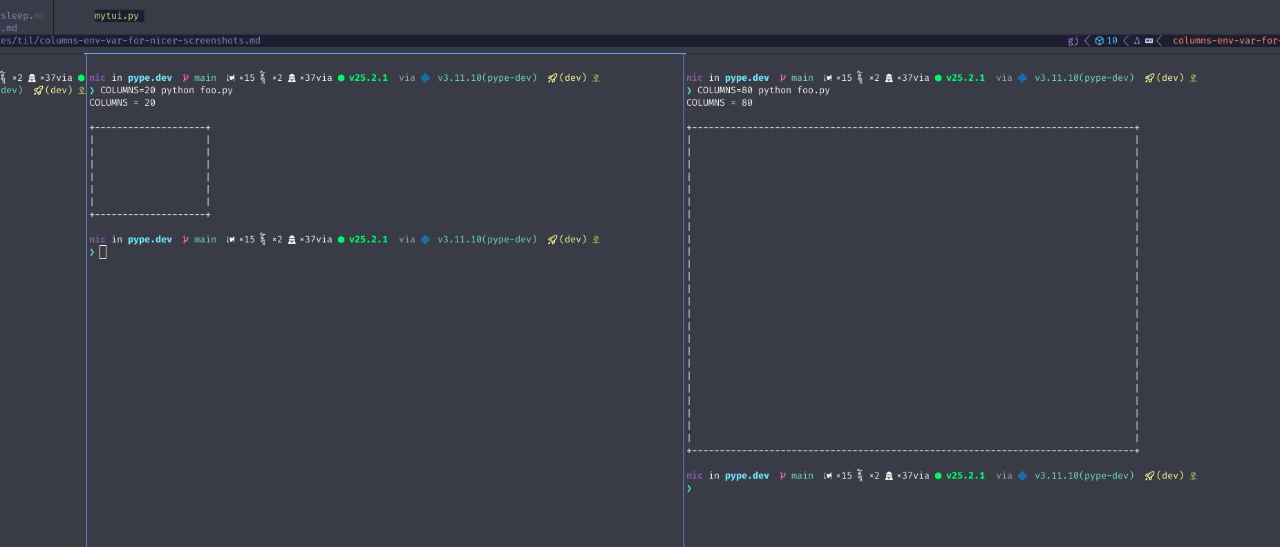 COLUMNS Env Var For Nicer Screenshots cover image