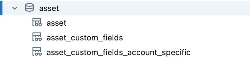 Asset data and asset custom fields can be found in the asset schema.