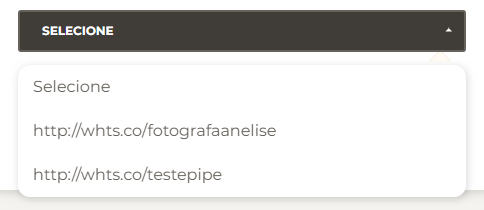 {"base64":"  ","img":{"width":484,"height":210,"type":"png","mime":"image/png","wUnits":"px","hUnits":"px","length":14823,"url":"https://cdn.statically.io/gh/vtexdocs/help-center-content/refs/heads/main/docs/pt/tutorials/conversational-commerce/vtex-assisted-sales-suiteshare/piperun-suiteshare_4.png"}}