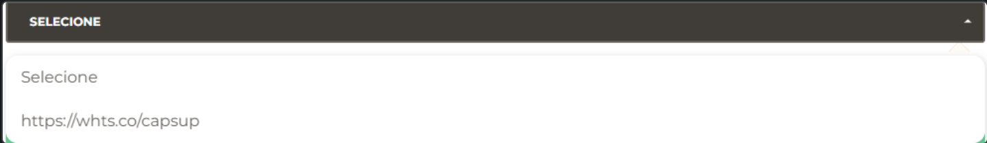 {"base64":"  ","img":{"width":1440,"height":209,"type":"png","mime":"image/png","wUnits":"px","hUnits":"px","length":27164,"url":"https://cdn.statically.io/gh/vtexdocs/help-center-content/refs/heads/main/docs/pt/tutorials/conversational-commerce/vtex-assisted-sales-suiteshare/rdstation-crm-suiteshare_3.png"}}
