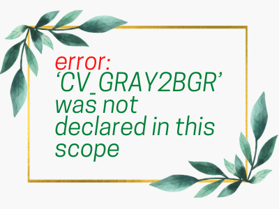 error_cv_gray2bgr_not_found