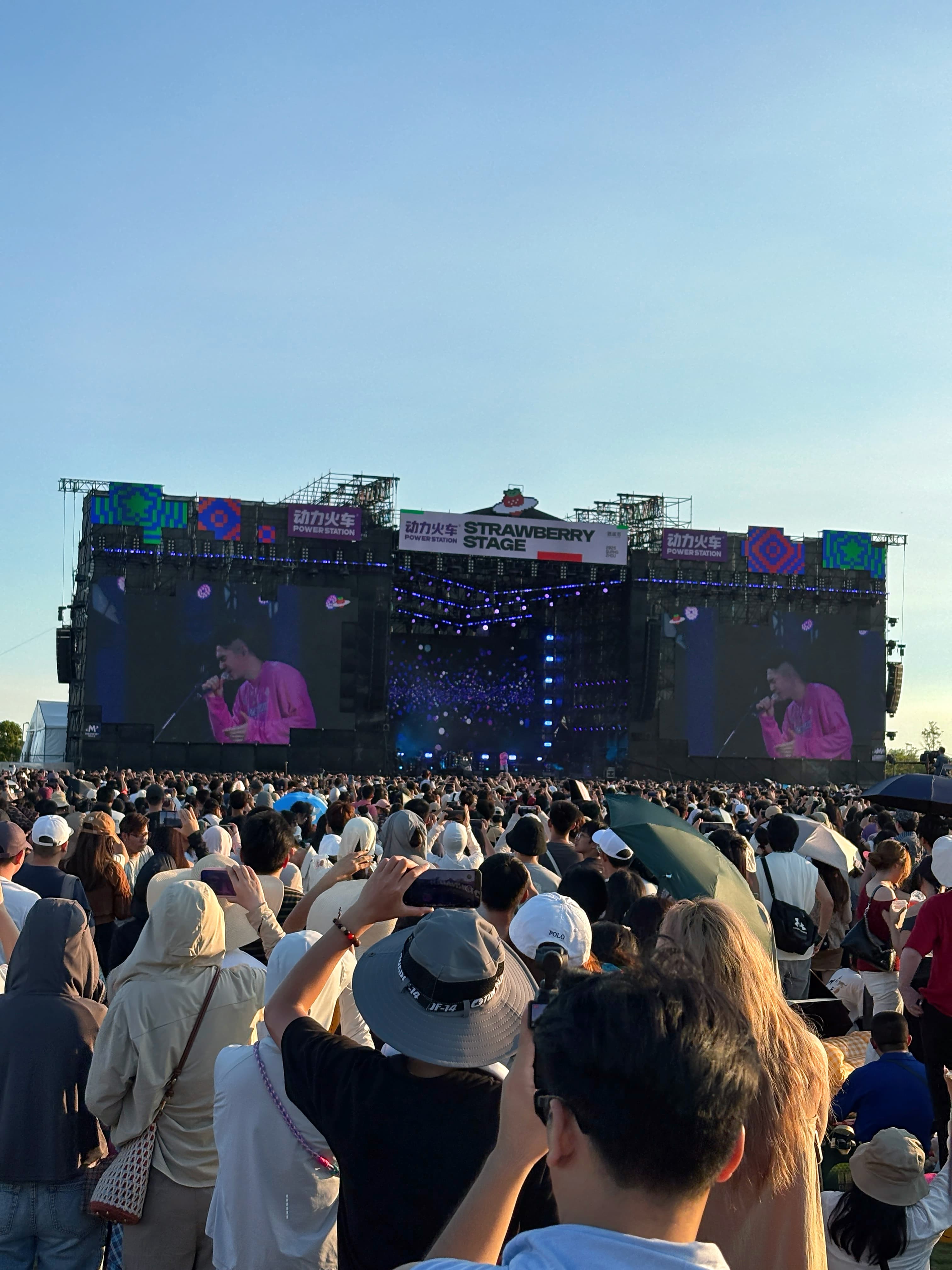 草莓音乐节