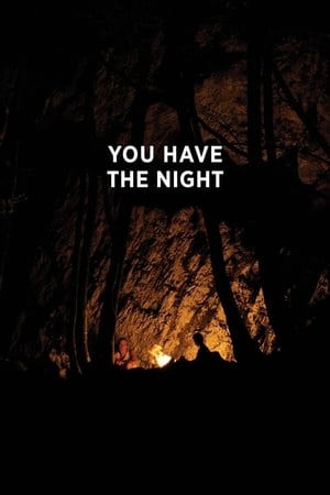 Image You Have the Night