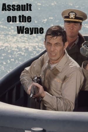 Image Assault on the Wayne