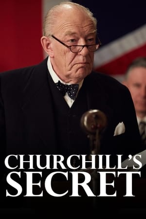 Image Churchill's Secret