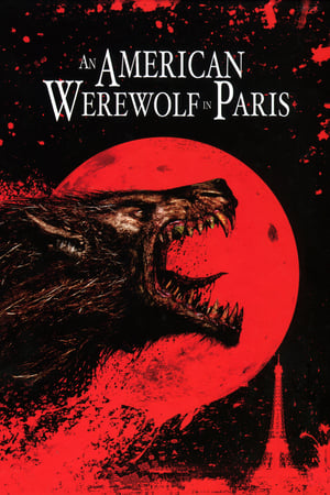 Image Americký vlkodlak v Paříži