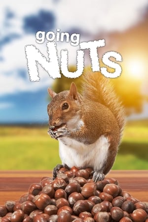 Image Going Nuts: Tales from the Squirrel World