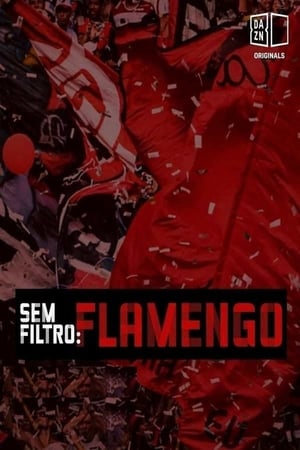 Image Sem Filtro: Flamengo