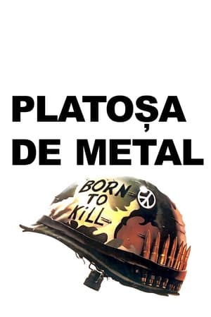 Image Platoșa de metal