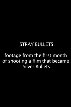 Image Stray Bullets